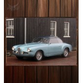 Металлическая табличка Alfa Romeo 1900 Super Sprint (1484) 001